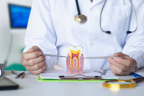 Best Knocked-Out Tooth Emergency  in Chama, NM